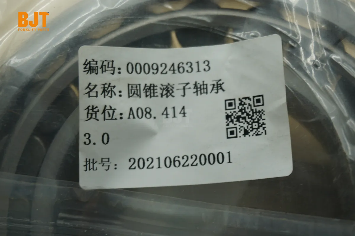 0009246313