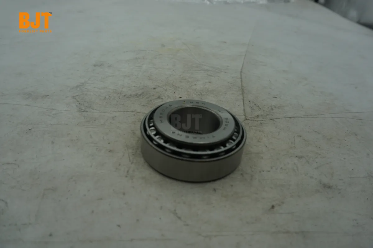 0009247333