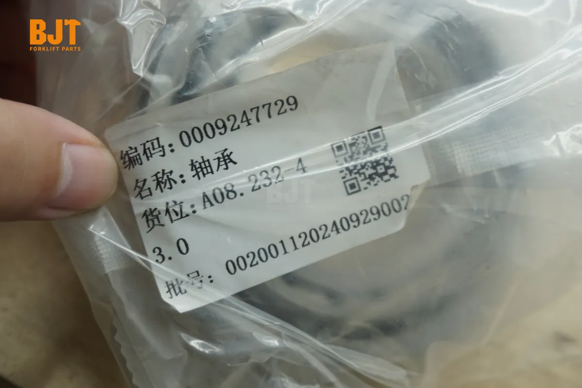 0009247729