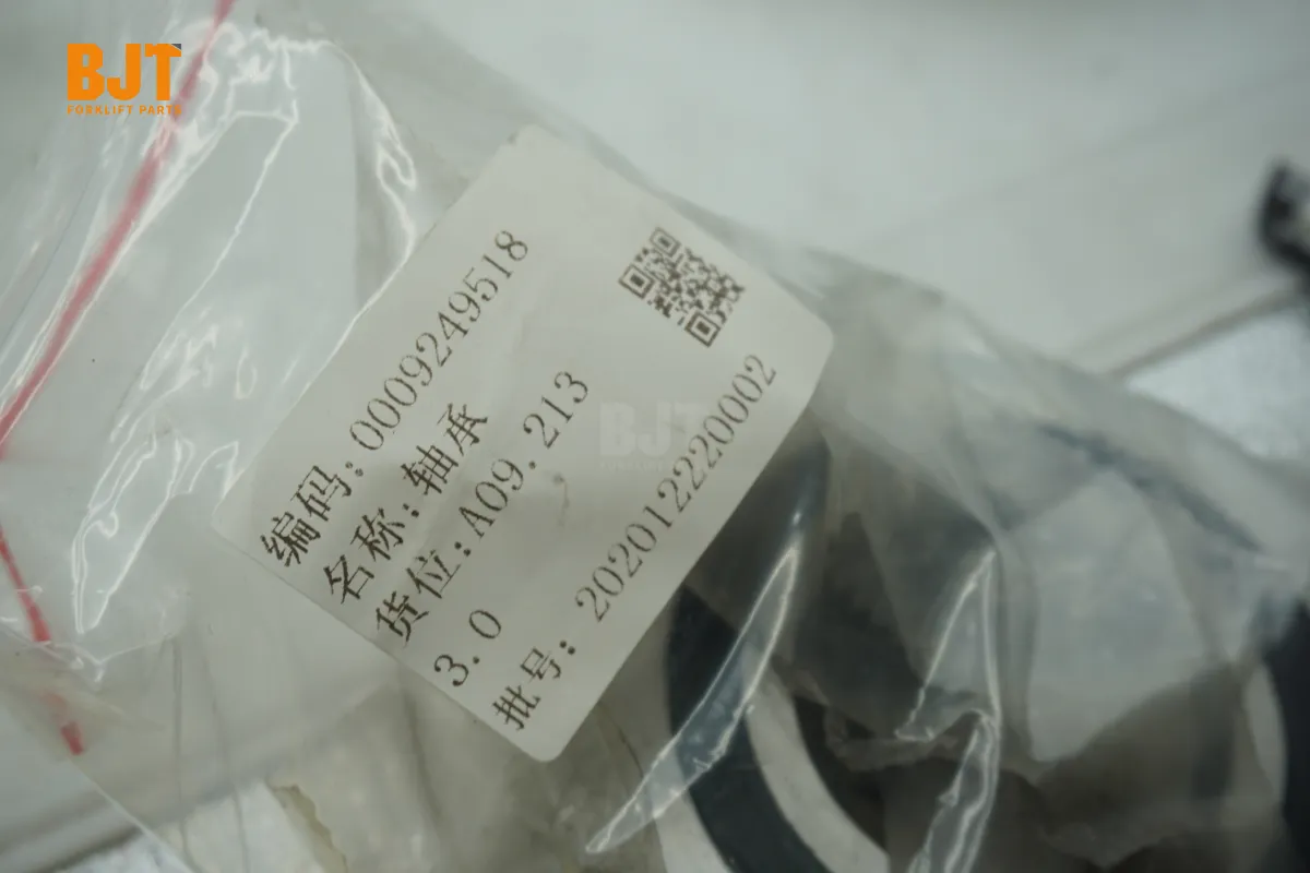 0009249518