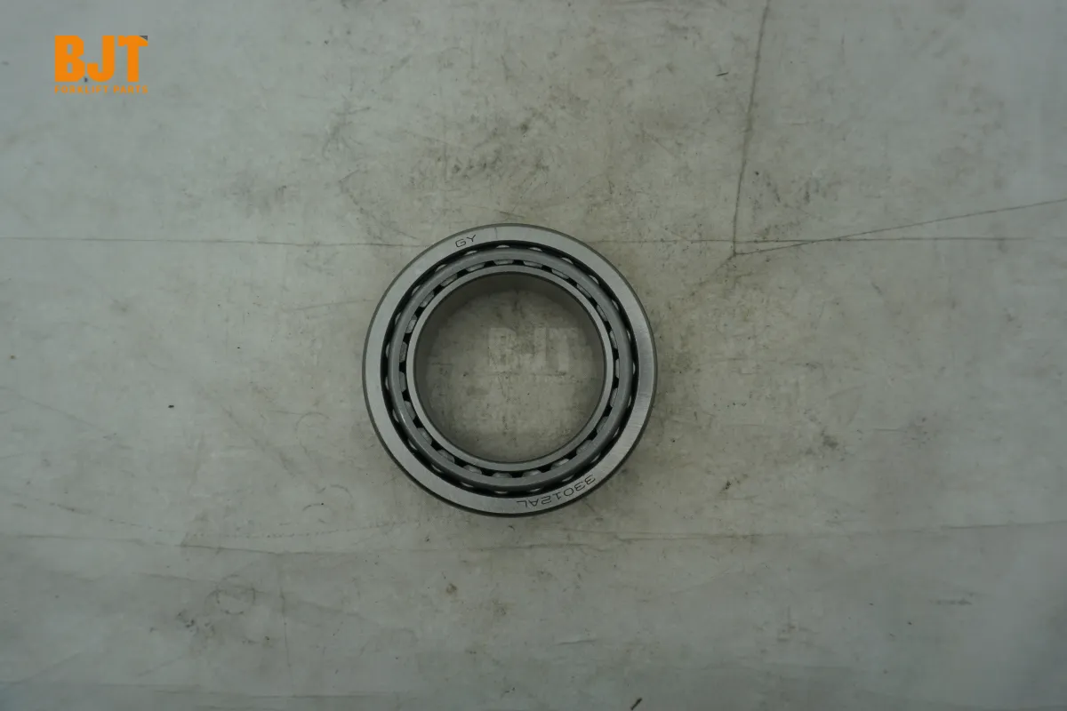 0009251039