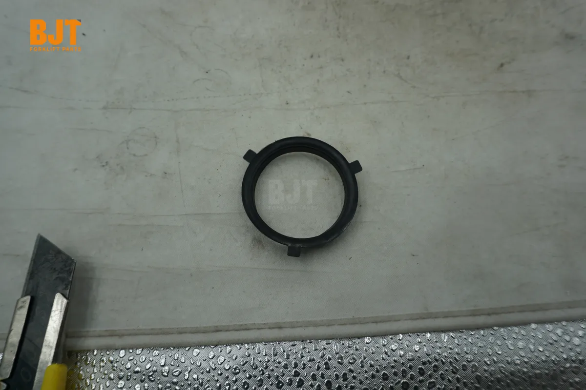 0009610314