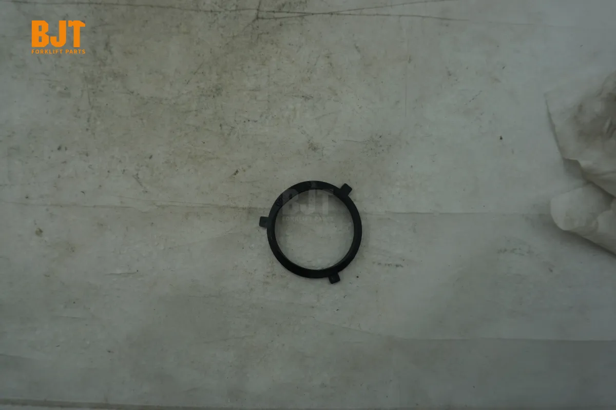 0009610314