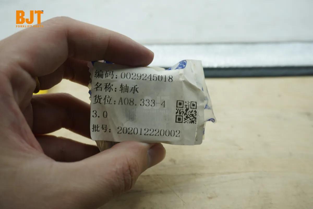 0029245018
