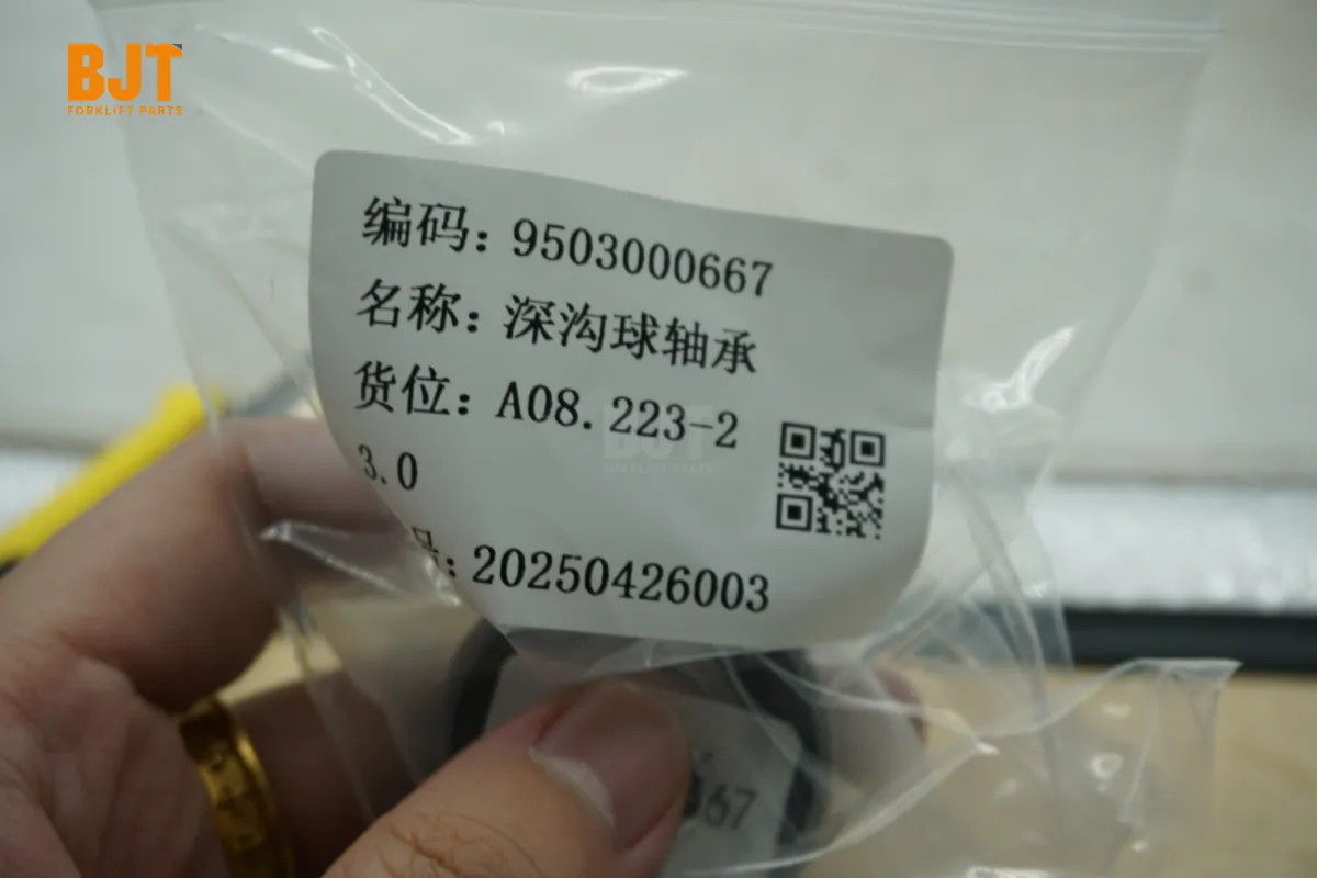 9503000667