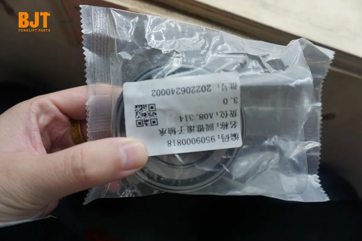 9509000818