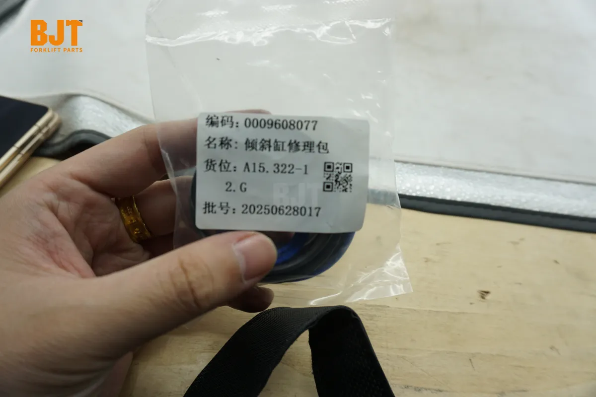0009608077