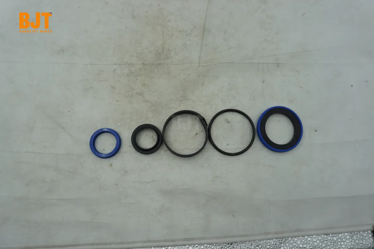 0009608077