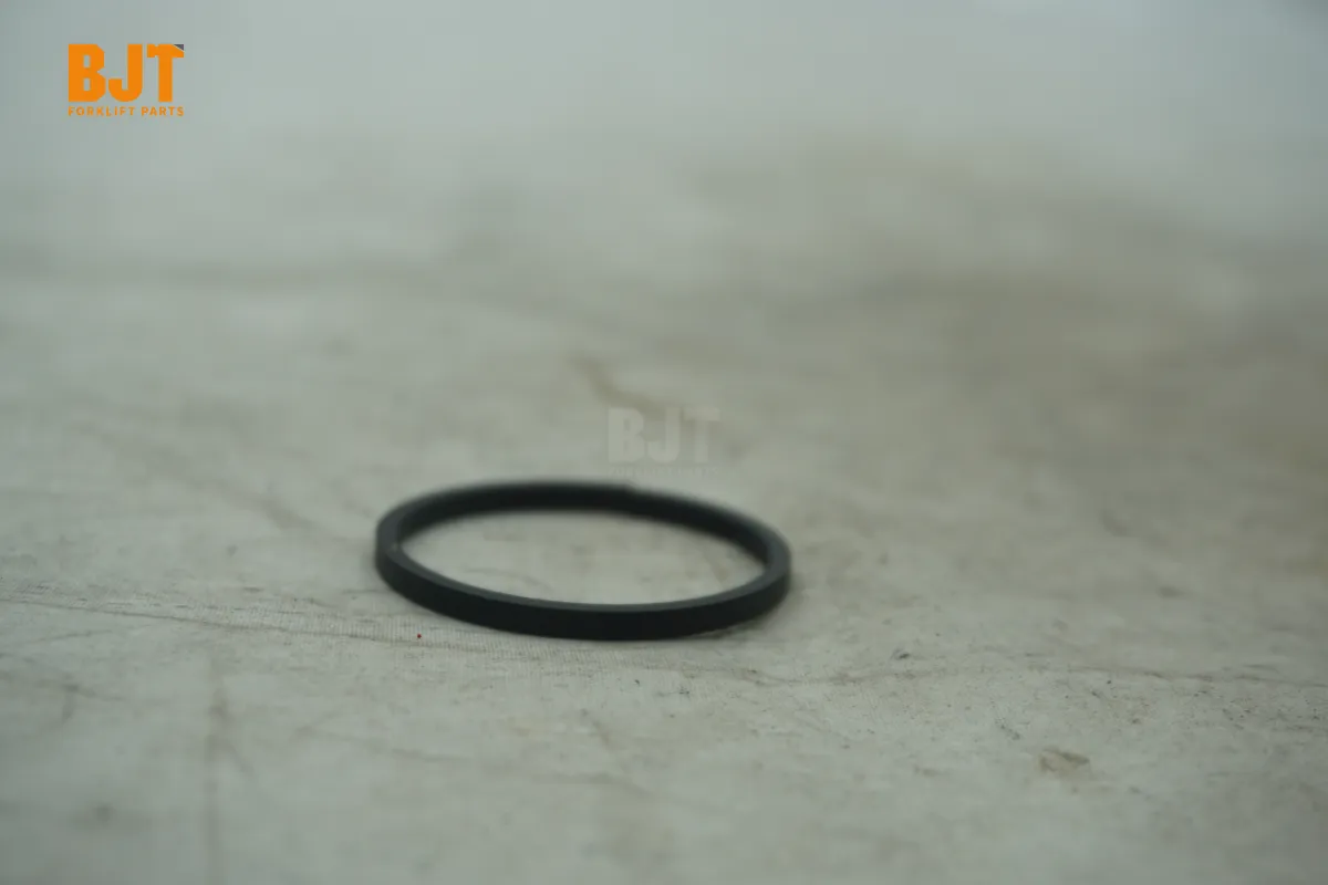 0009610041