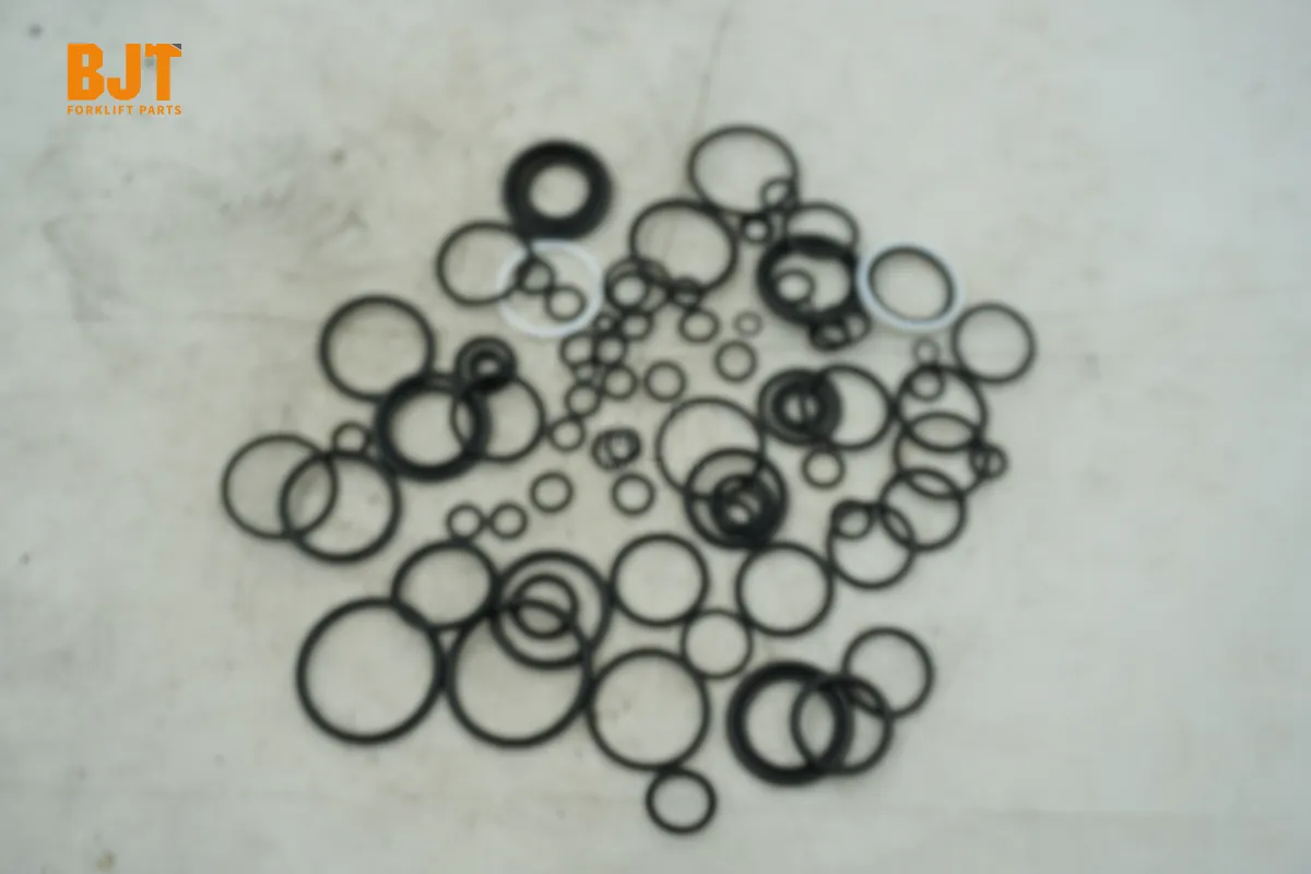0009629329