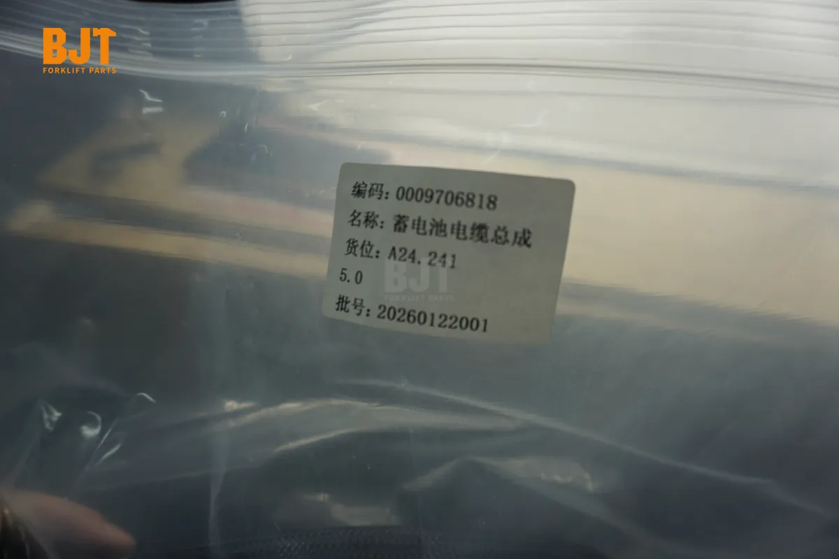 0009706818