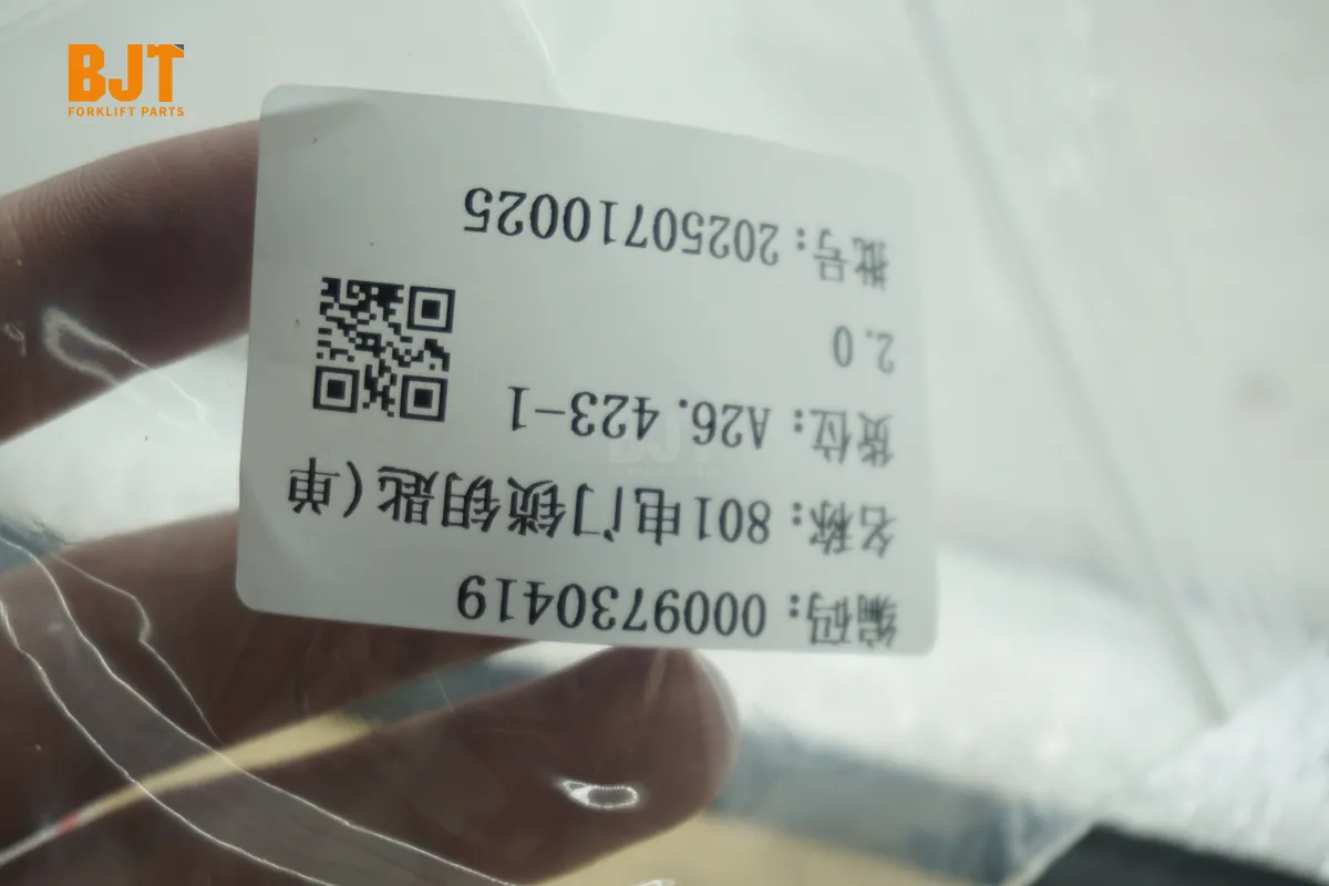 0009730419