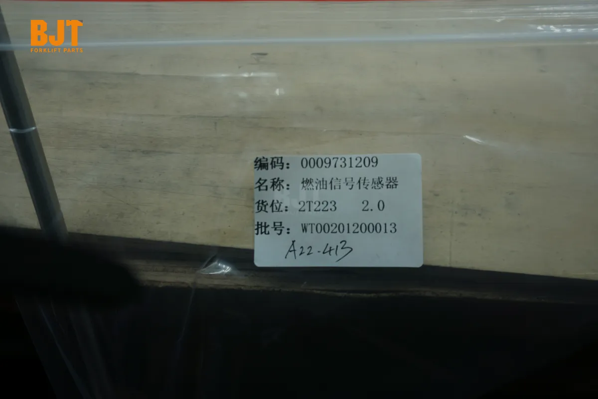 0009731209