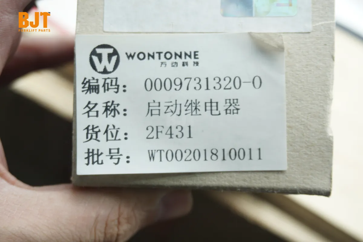 0009731320