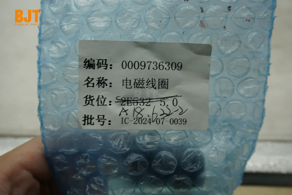 0009736309