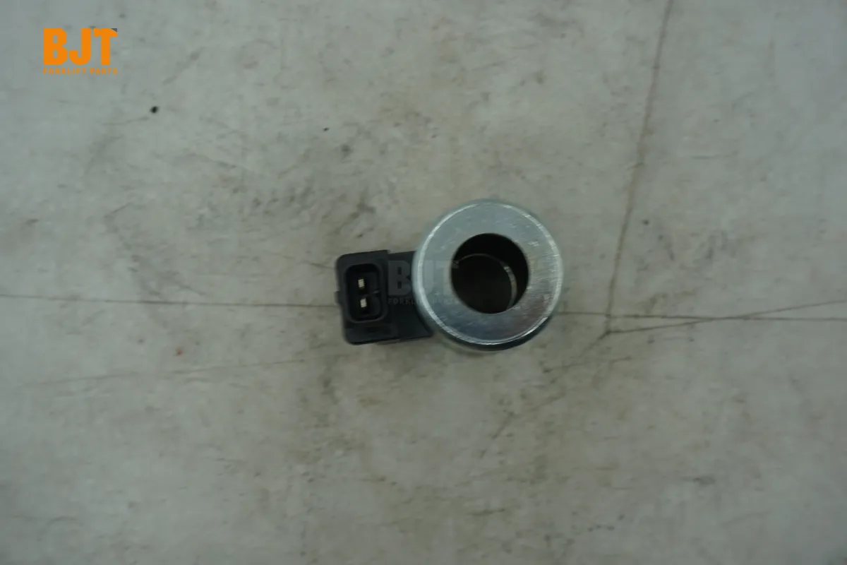 0009736309