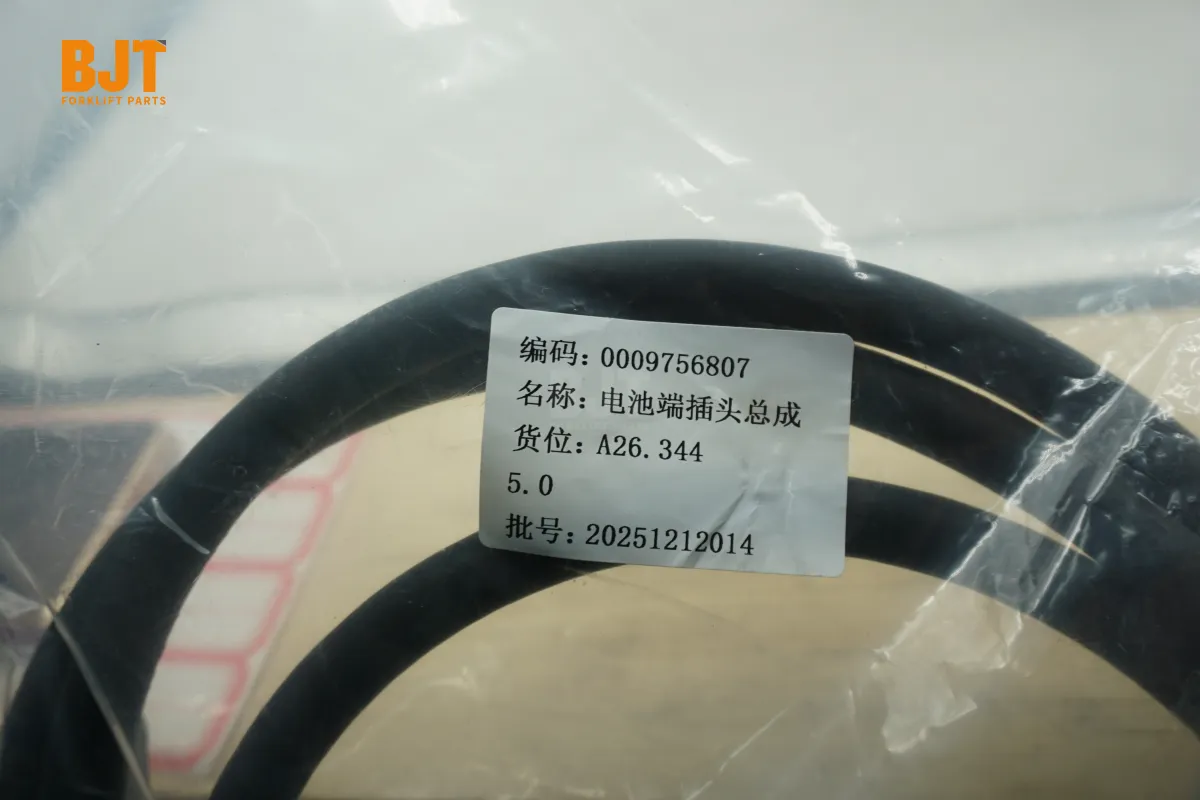 0009756807