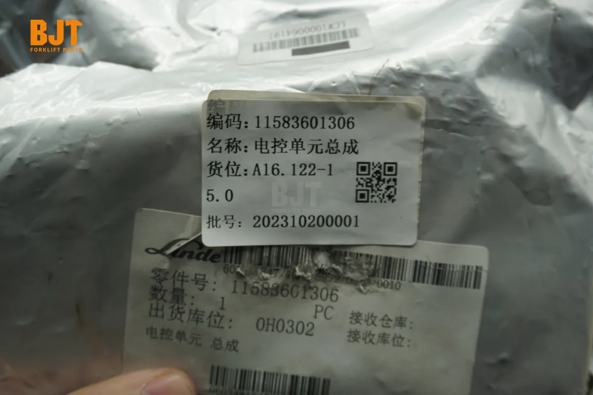 11583601306