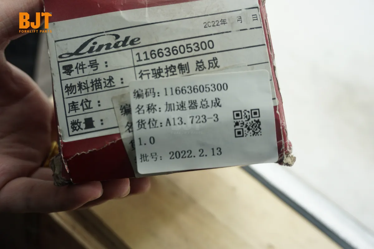 11663605300