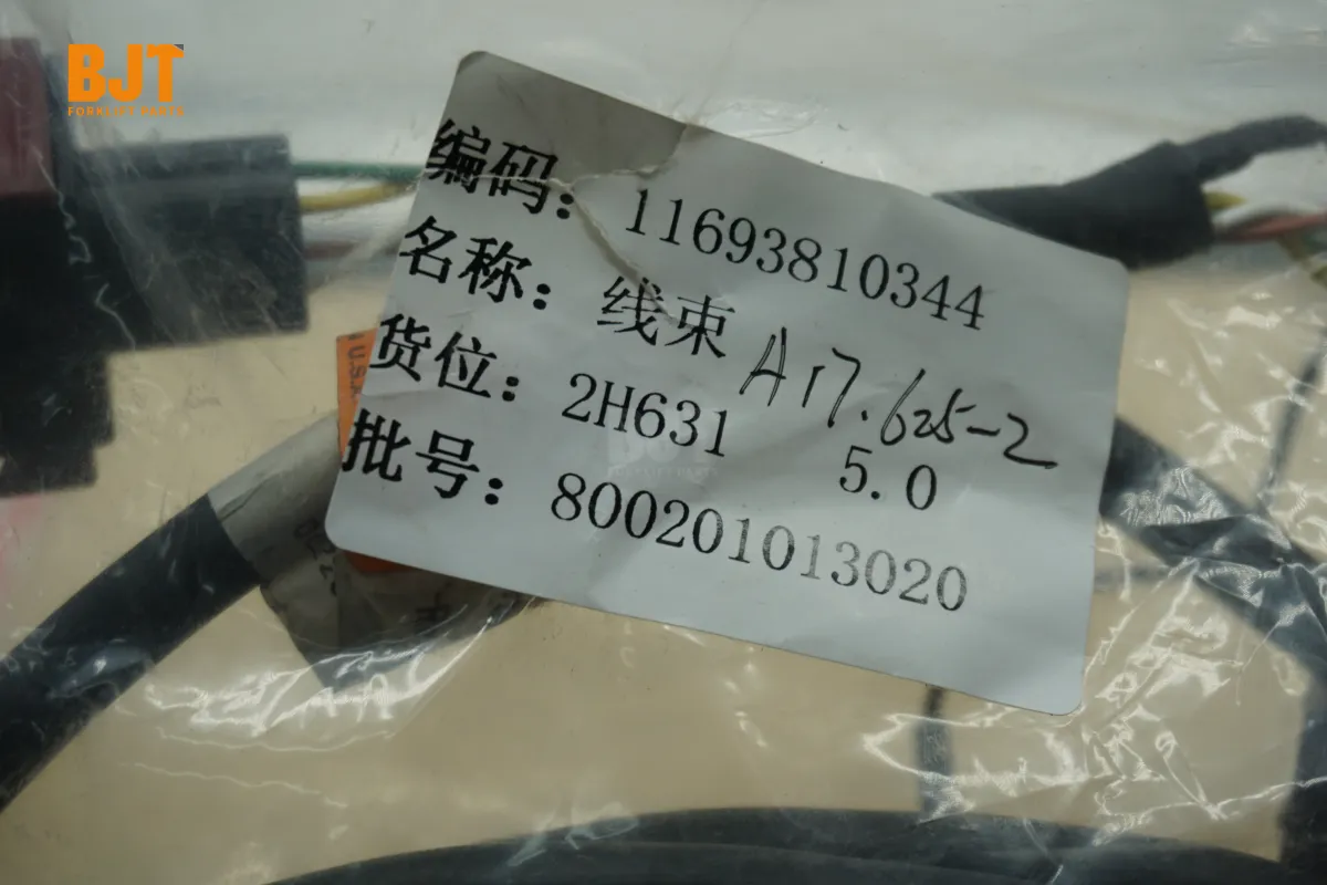11693810344