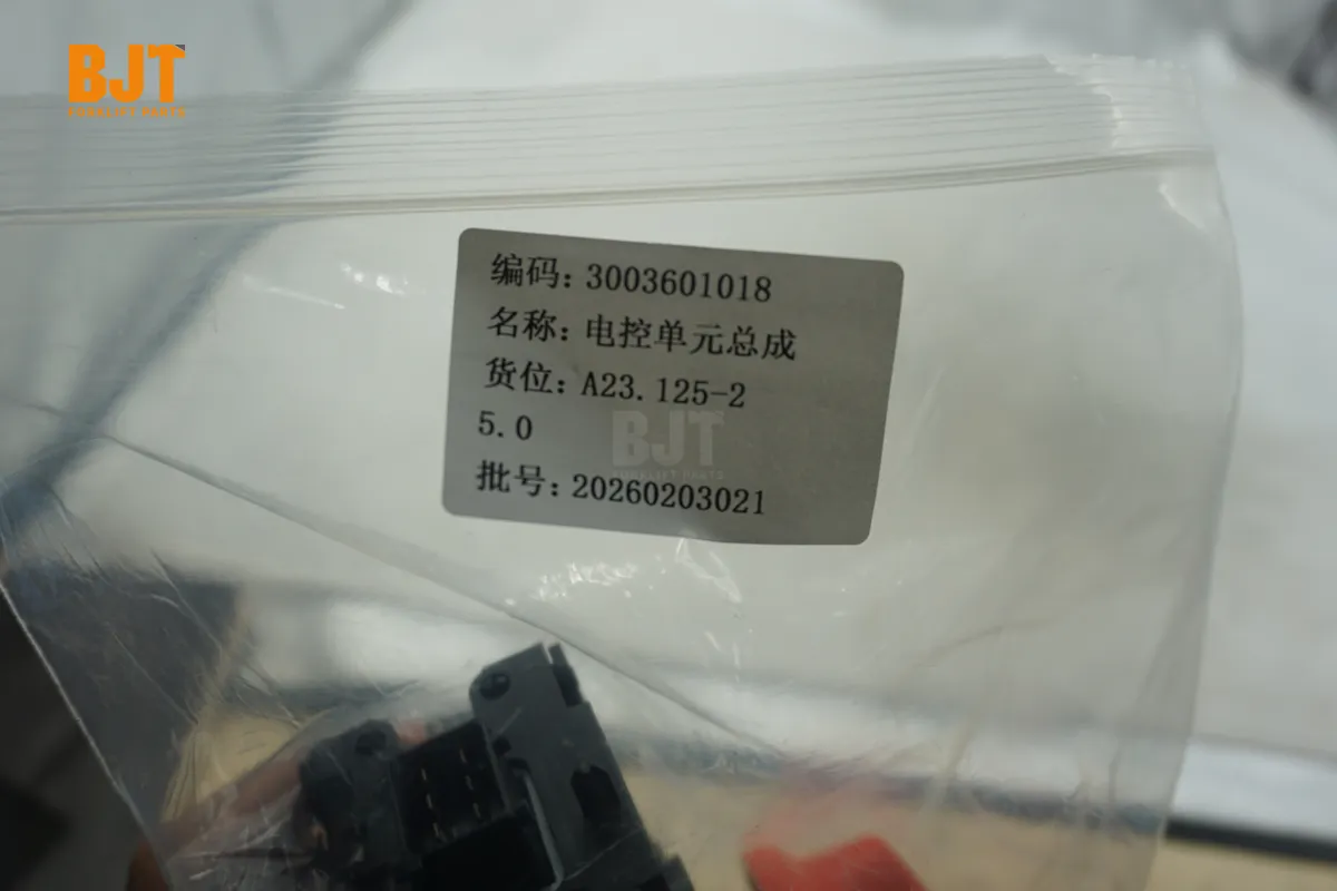 3003601018
