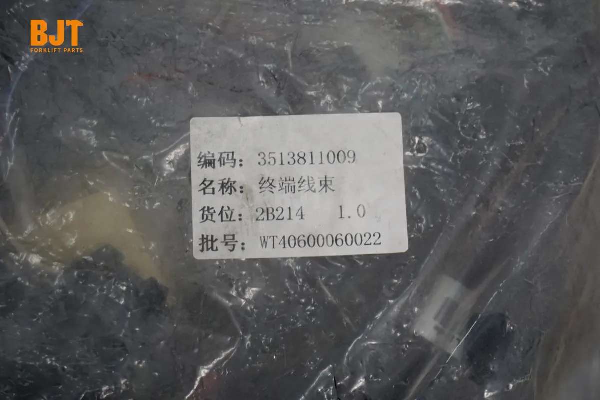 3513811009