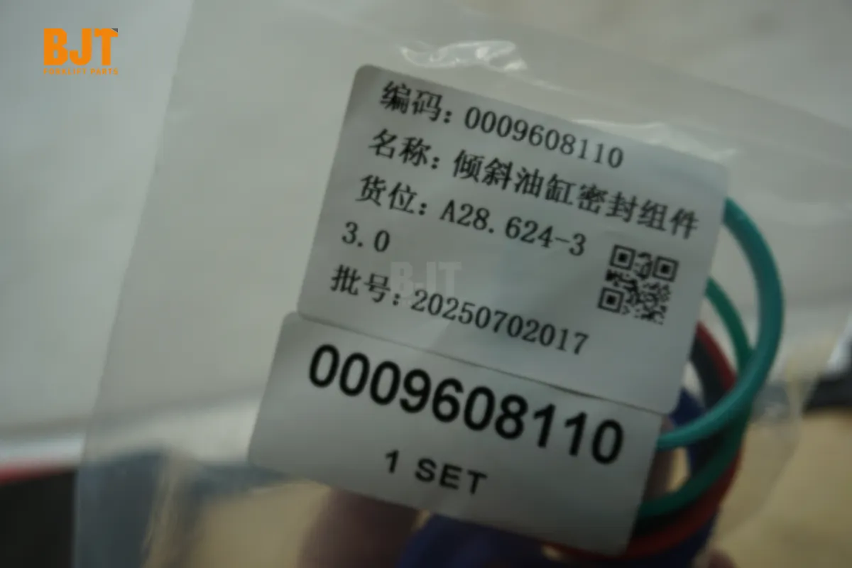 0009608110