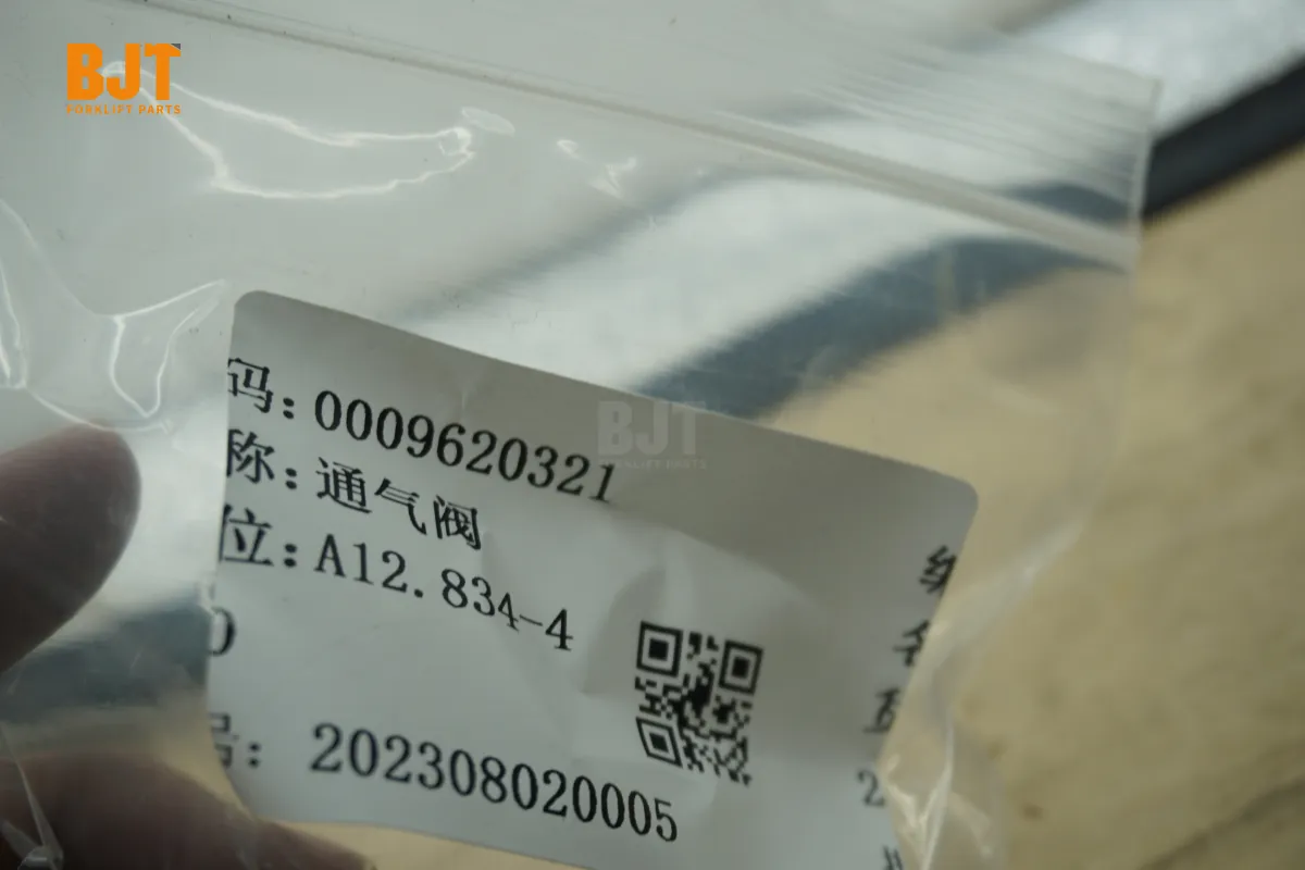 0009620321