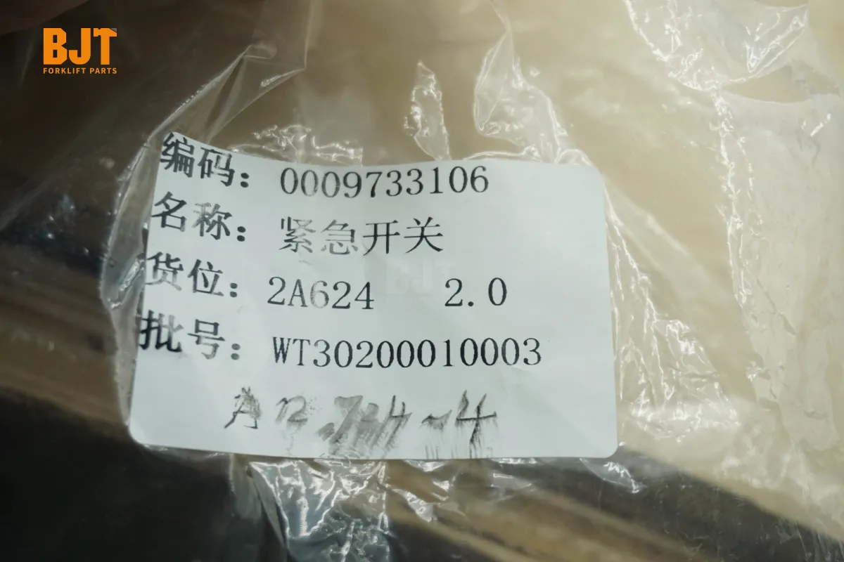 0009733106