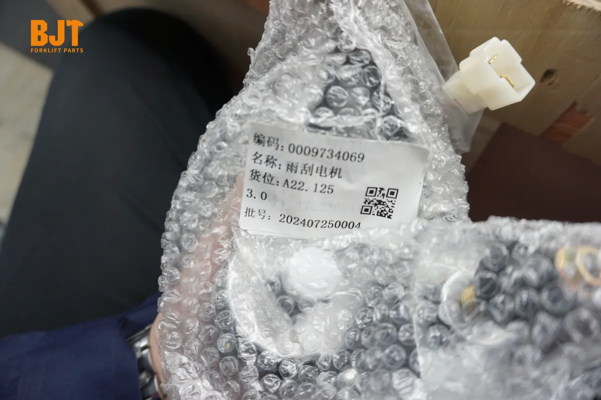 0009734069