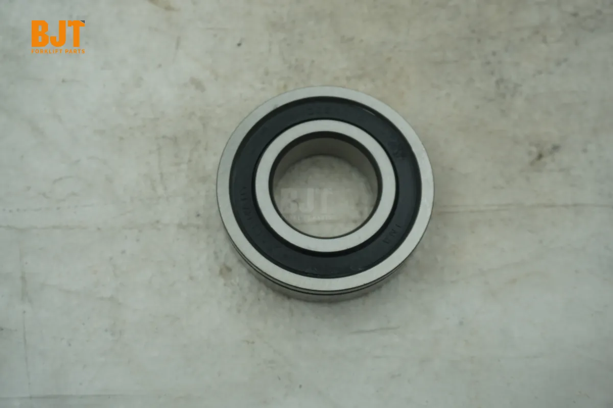 0029245013