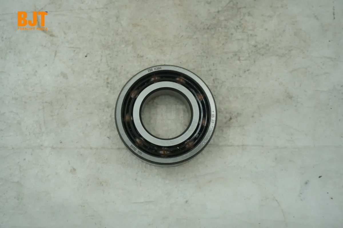 0029245013