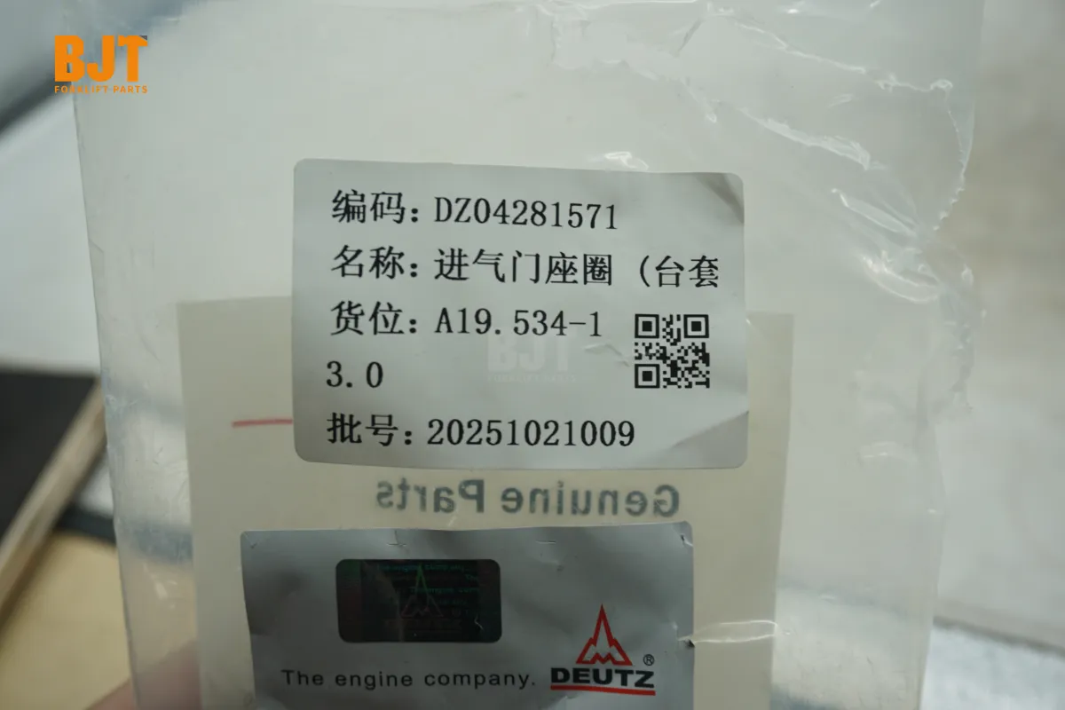 DZ04281571