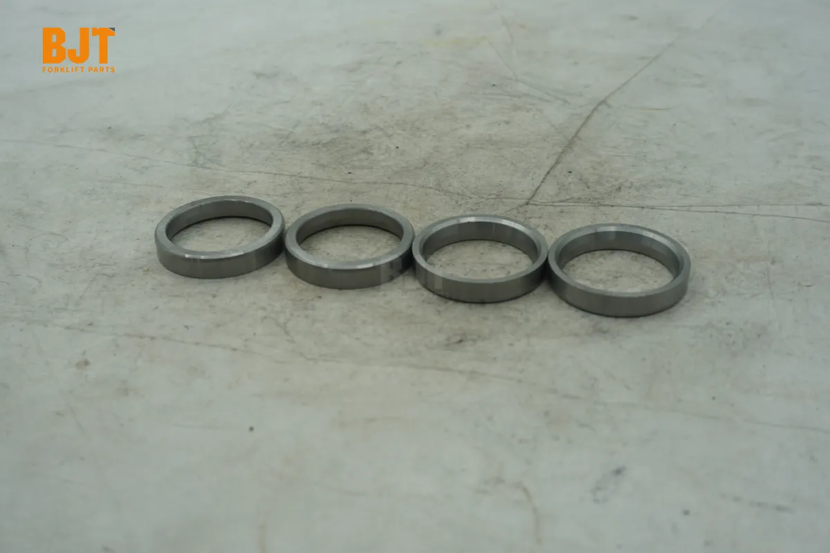 DZ04281571