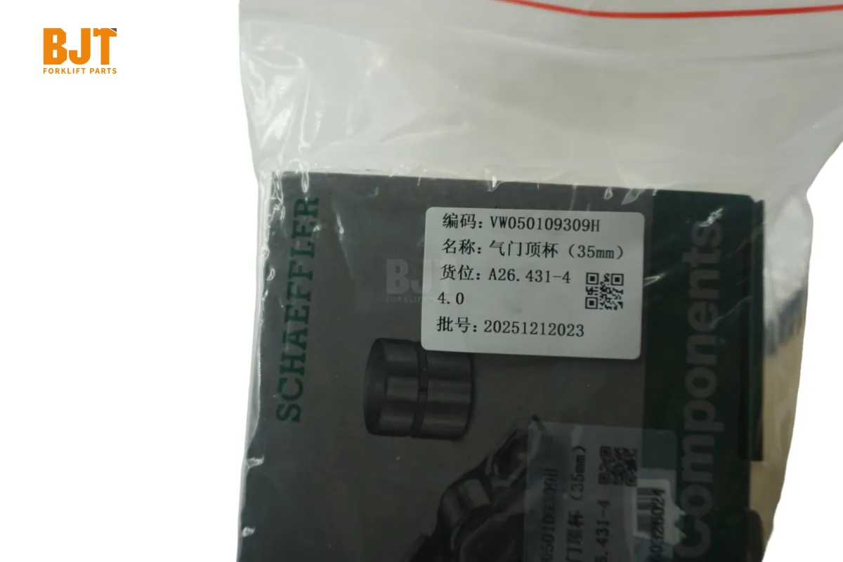 VW050109309H