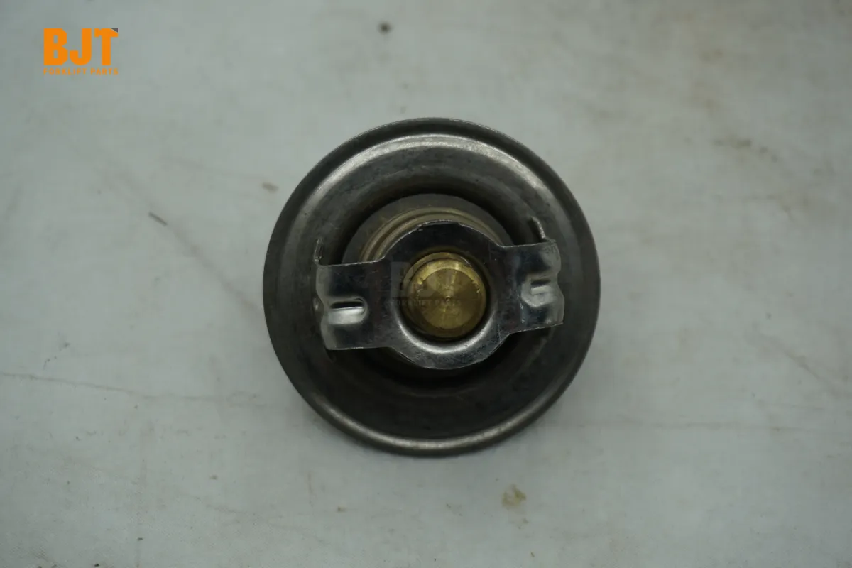 VW068121113A