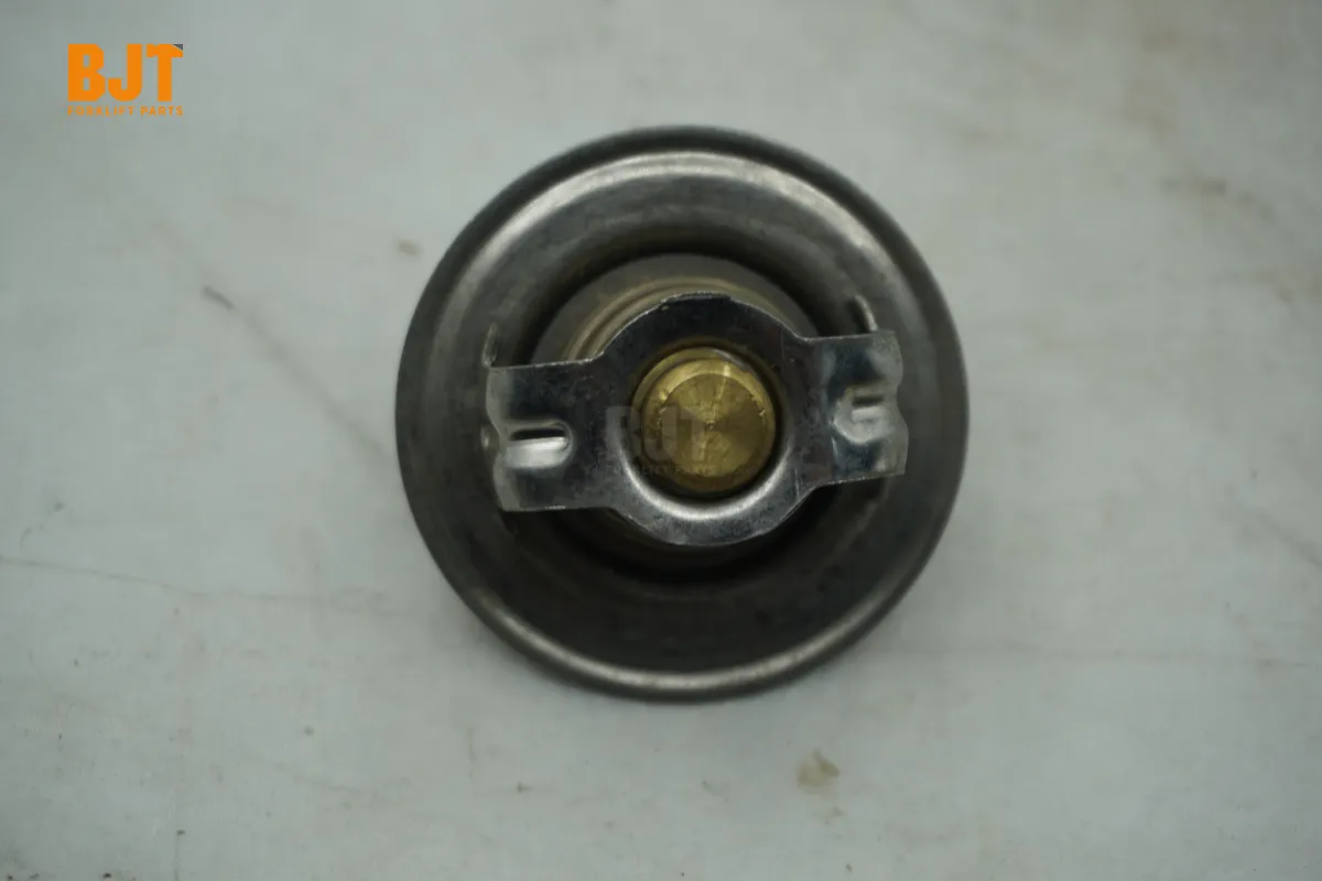 VW068121113A