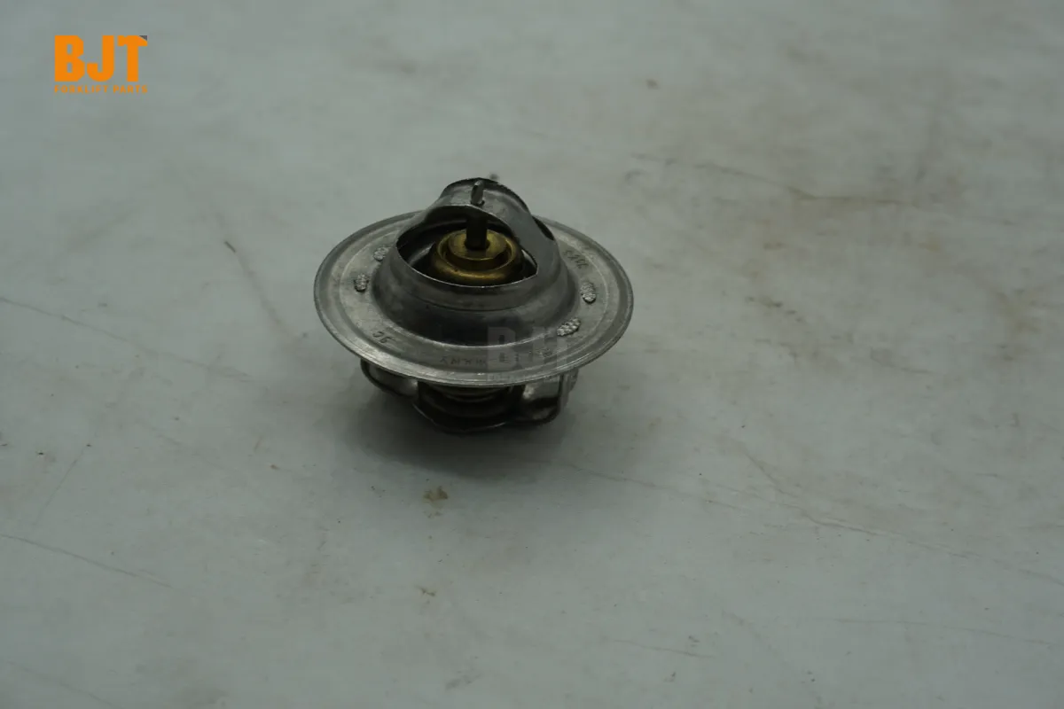 VW068121113A