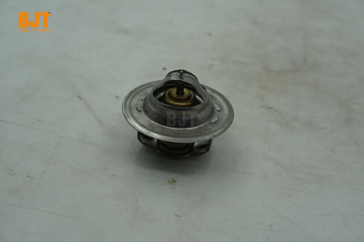 VW068121113A