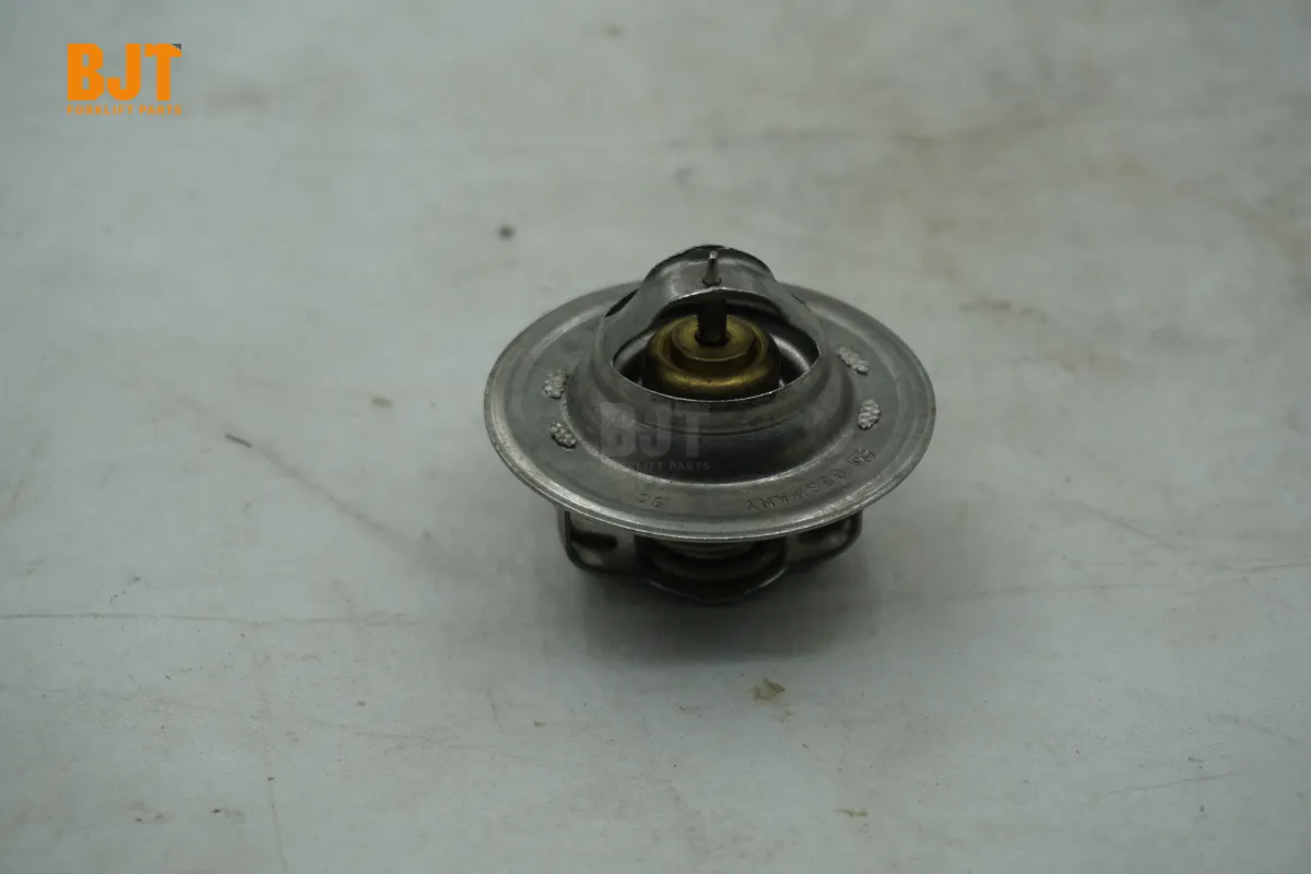 VW068121113A
