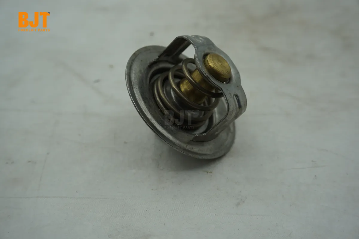 VW068121113A
