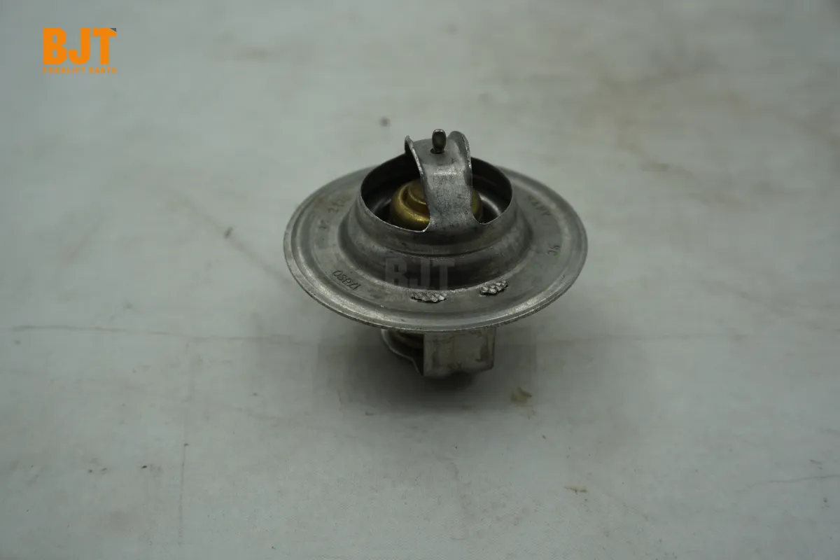 VW068121113A