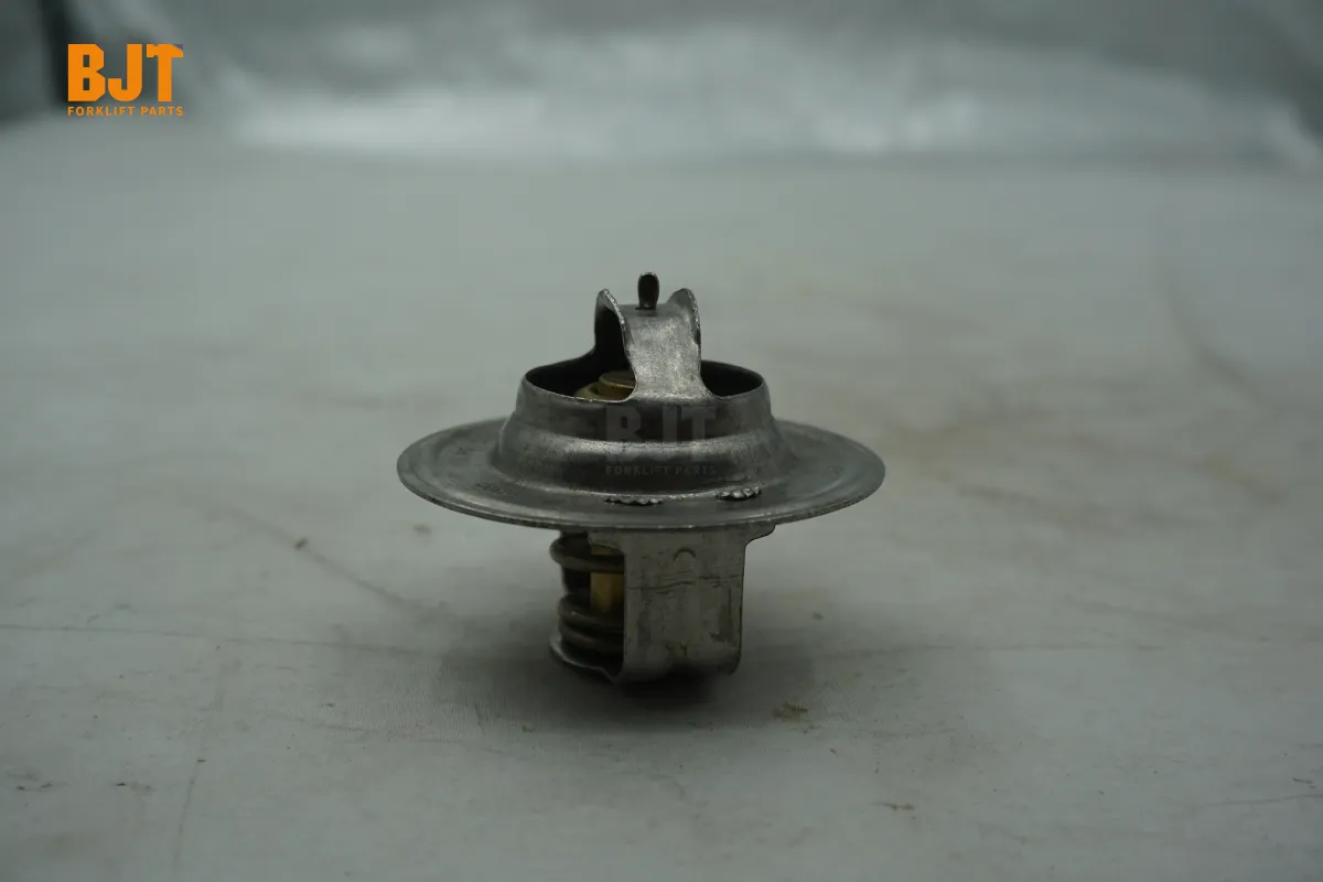 VW068121113A