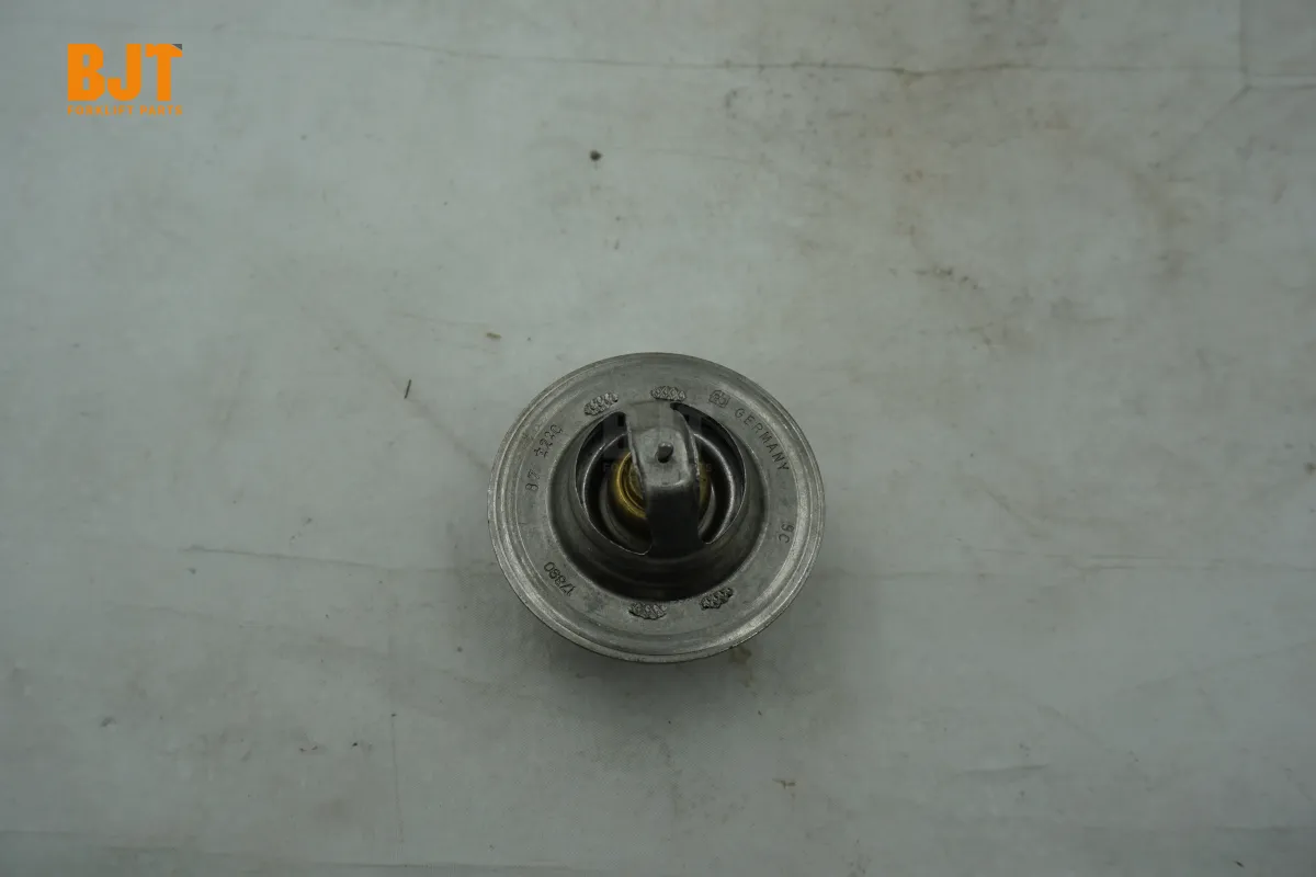 VW068121113A