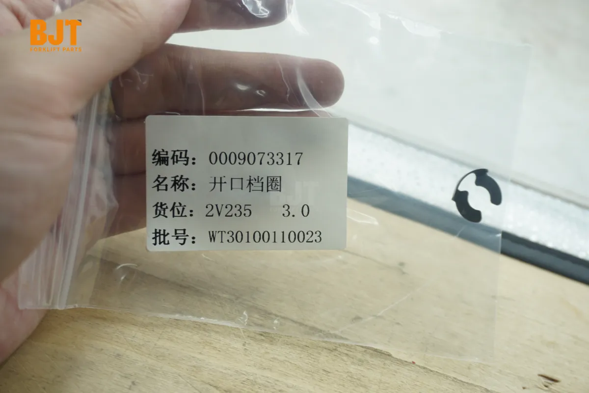 0009073317