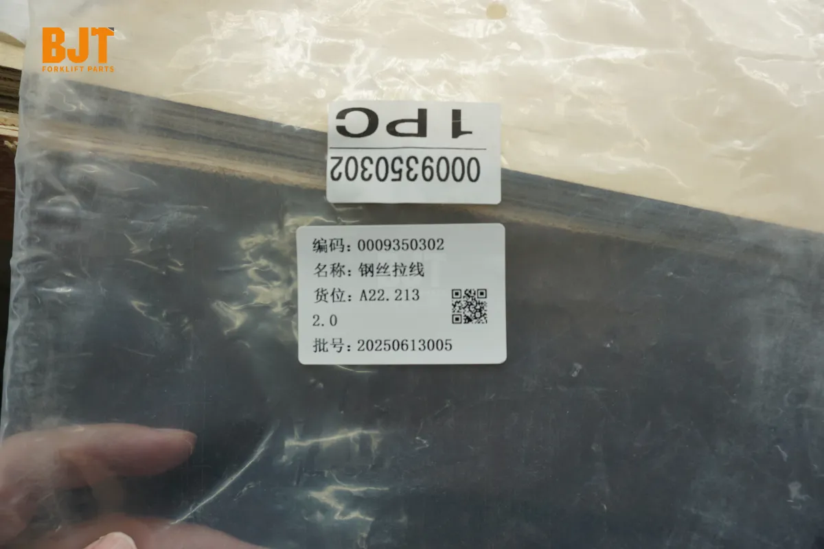 0009350302