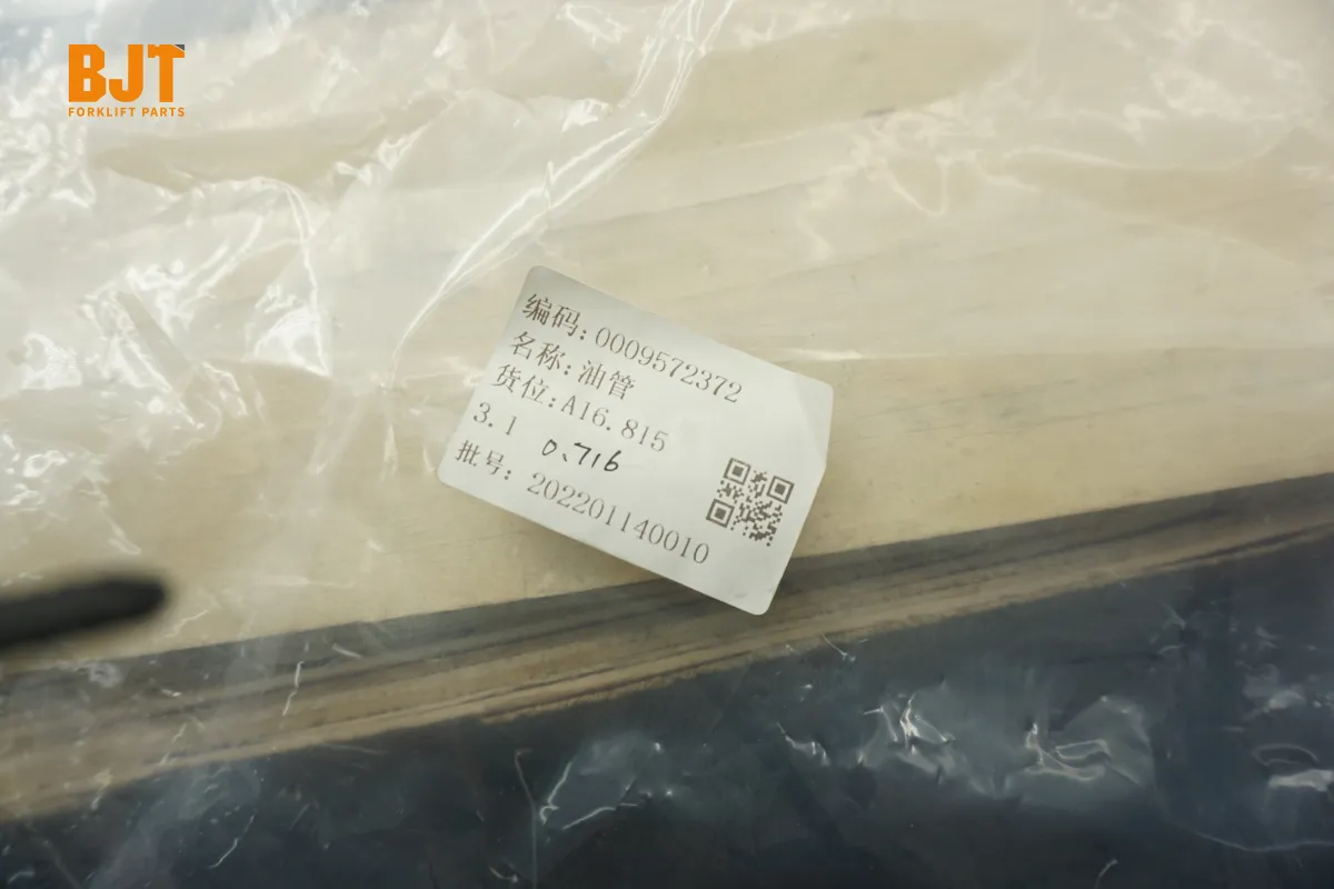 0009572372