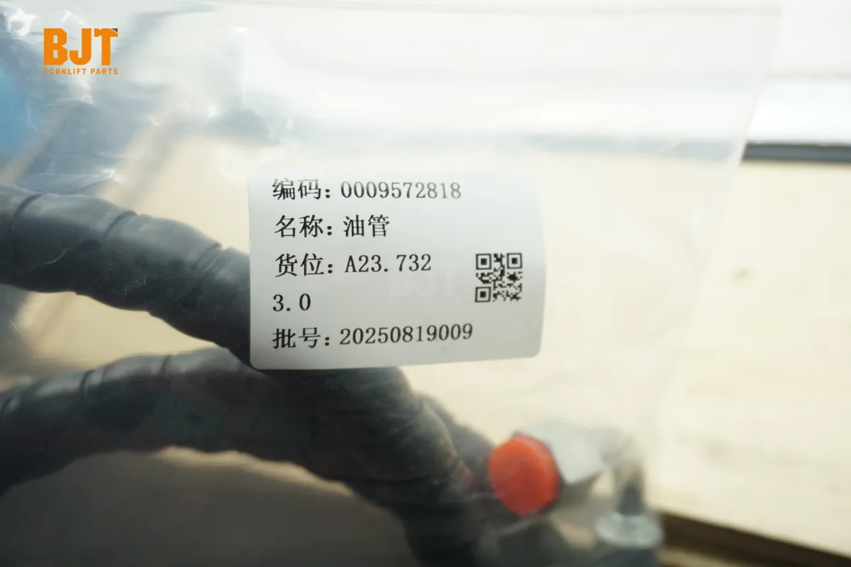0009572818
