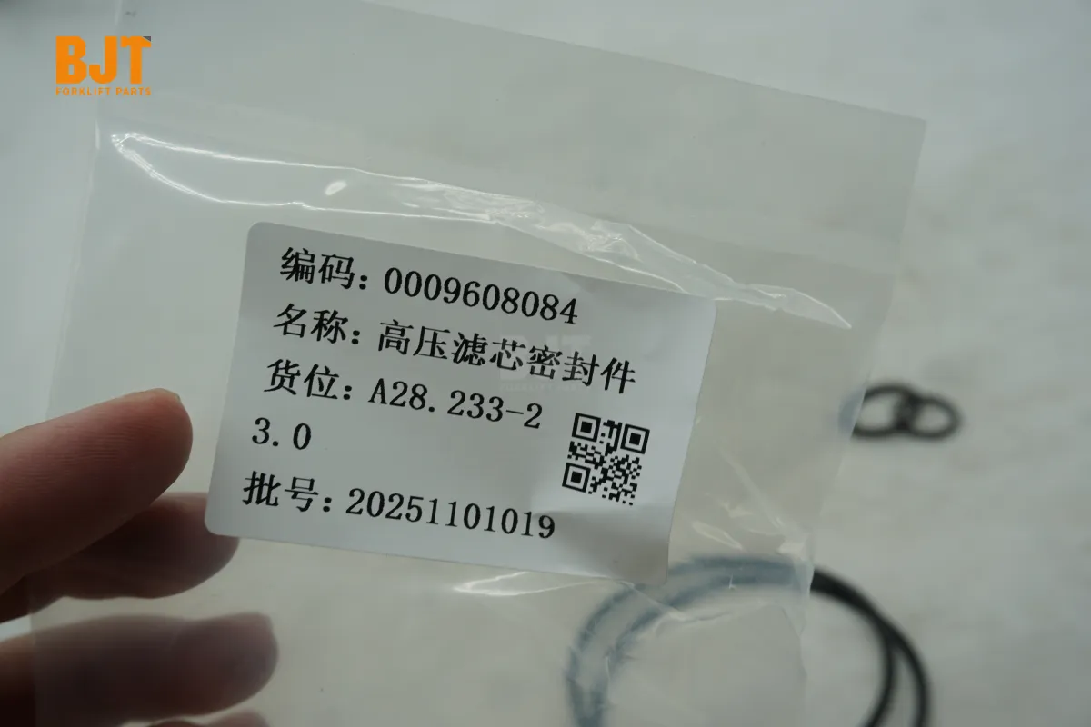 0009608084