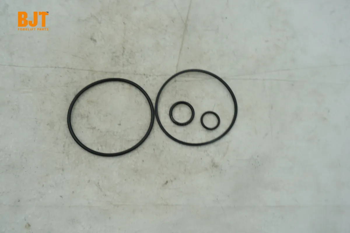 0009608084
